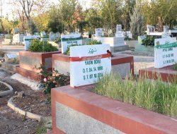 Aileler, bahadırlarının şehadet süreçlerini anlattı