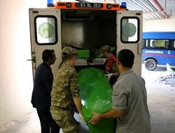 Akçakale sınır bölgesinde 2 kişi ölü bulundu foto