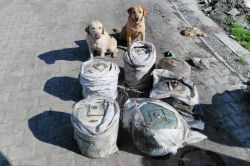 Şırnak Toptepe köyü mevkiinde yola döşenen bomba etkisiz hale getirildi