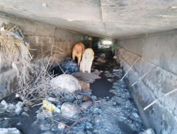 Teqemeniya ku li ber rê hatibû bicîkirin hat teqandin