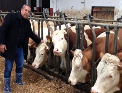 Ji Ewrûpayê 279 nogin hat îthalkirin