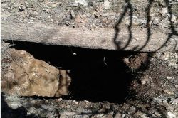 PKK'ya ait sığınak bulundu