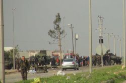 Nusaybin'de Çınar denemesi video