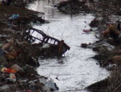Çendîn sal in ku bi robara qirêj re dijîn