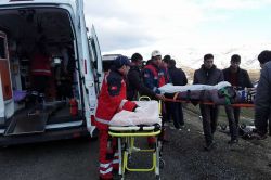 Bingöl Dikme Köyünde kaza: 8 yaralı video foto