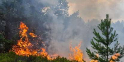 İzmir Aliağa Pınarcık mevkiinde orman yangını