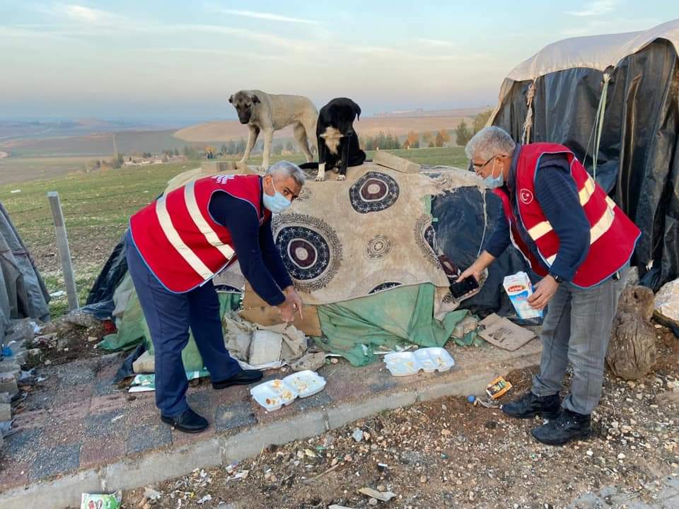 Diyarbakır Çınar'da sokağa çıkma kısıtlamasında sokak hayvanları unutulmadı
