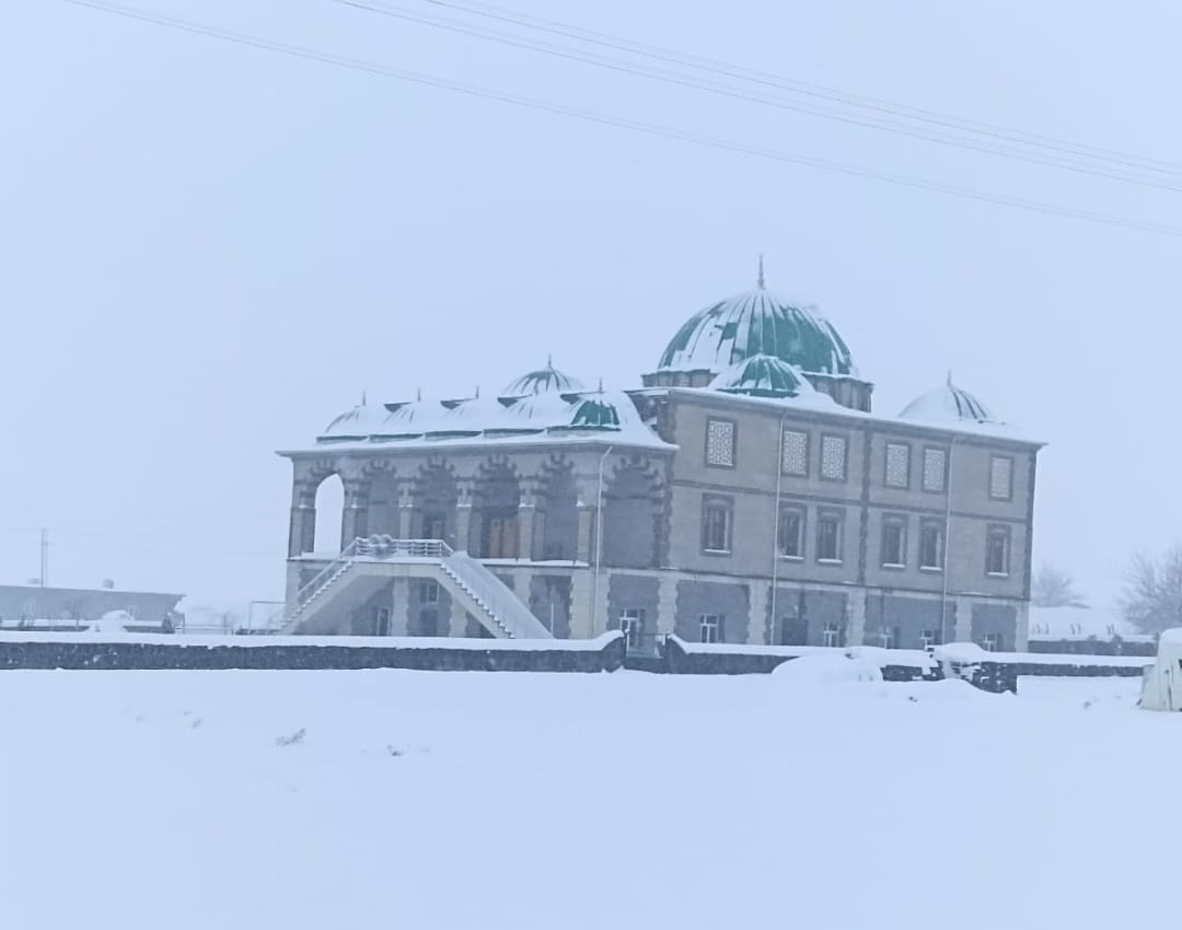 cinar-2.jpg