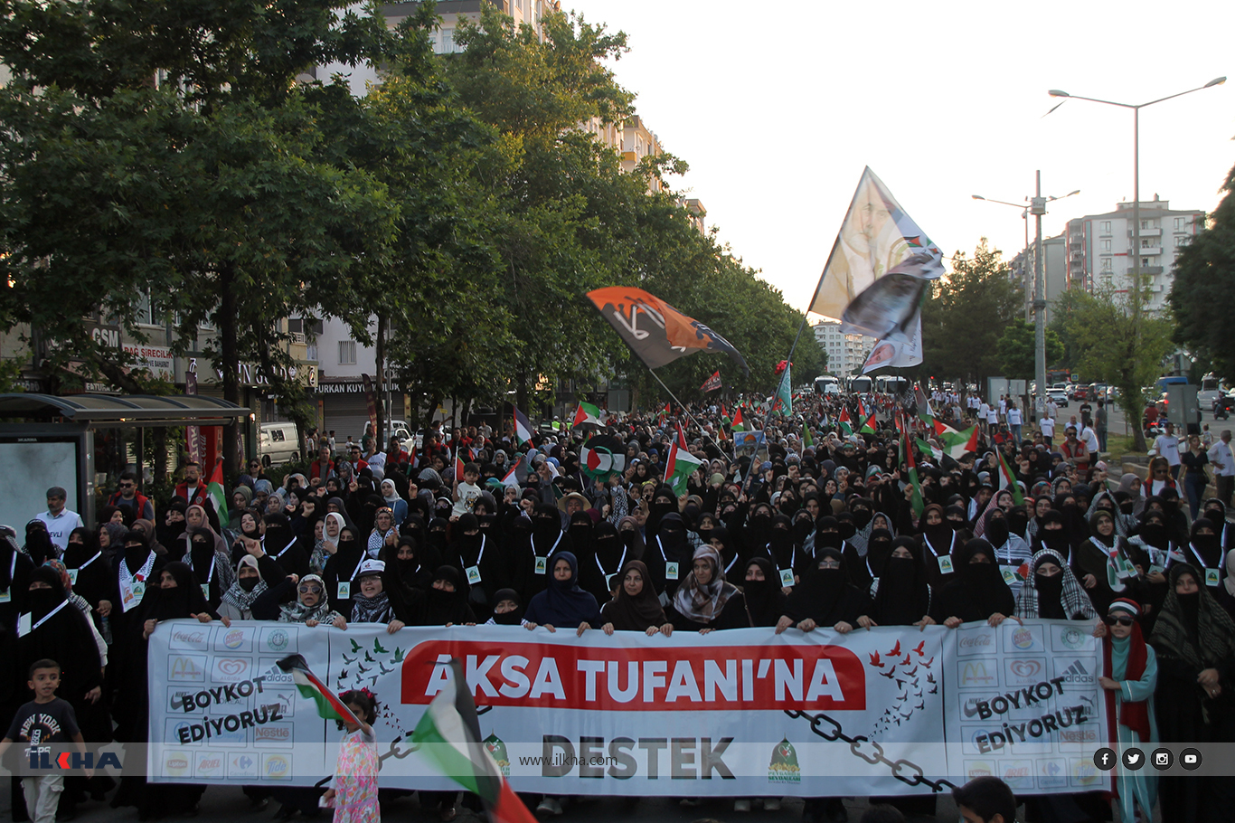 ea7b7dd1-8e39-4f1e-ae25-13f8769ea64f.jpg