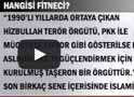 Hangisi fitneci