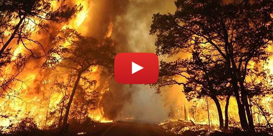 California’da 50 bin kişi evinden oldu