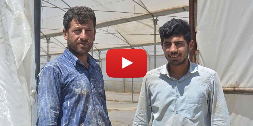 Çiftçilerden tarımda görülen hastalıklara çözüm