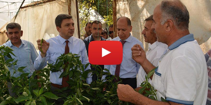 Seracılık bu bölgede gittikçe gelişecektir