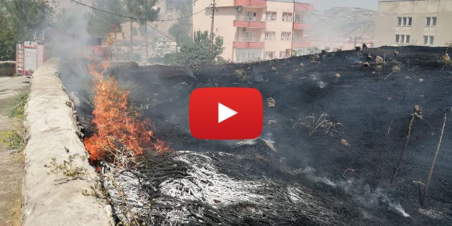 Kozluk'ta mezarlık küle döndü